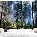 BJYHIYH Misty Forest Tapestry Wall Hanging Nature Landscape Tapestry Sunshine Through Tree Tapestries for Bedroom Living Room Dorm Decor(90.6"×59.1")