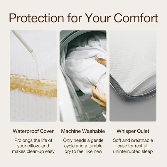 Coop Home Goods Cool+ Pillow, Original Pillow, 2-Pack Ultra-Tech Protectors and Coolside Pillowcase Queen Bundle
