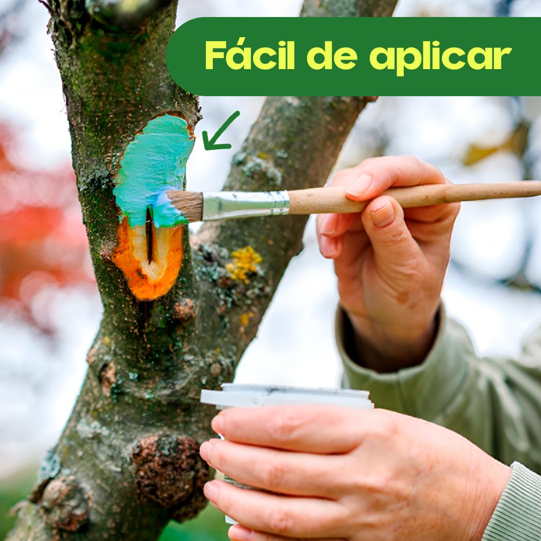 Pasta Cicatrizante Profesional 1 KG Ecológica | para Poda e Injertos | Eficaz Fijación Injertos, Cicatrización y Protección Heridas en Árboles, Frutales y Arbustos | Repara daños | SELLAPLUS