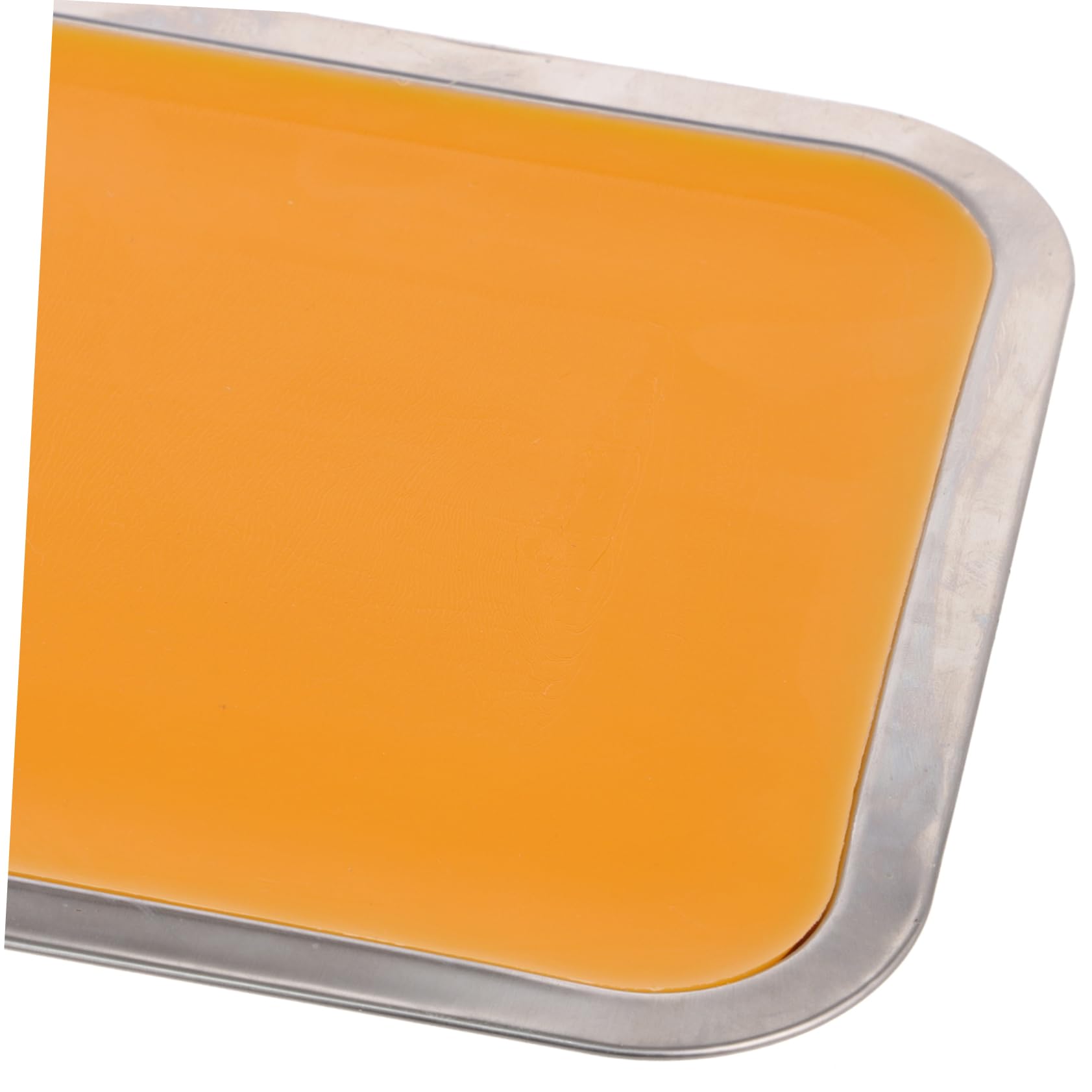 Cabilock Vassoio di Dissezione 21x31cm con Cera in Acciaio Inossidabile Adatto per Dissezione Anatomica e Uso Didattico