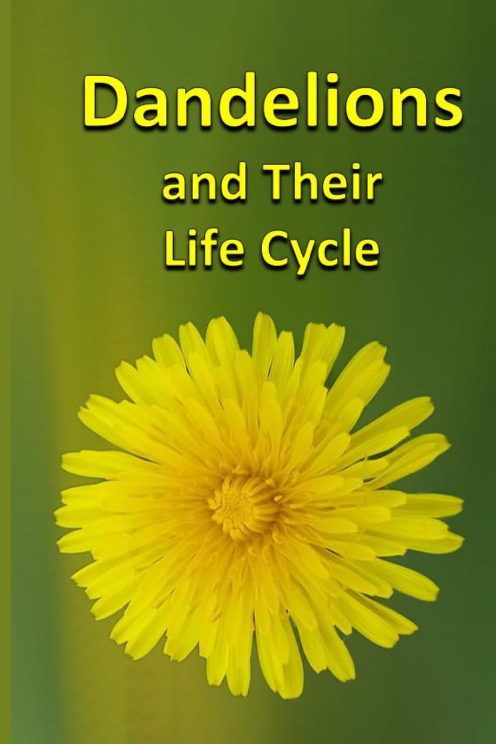 Dandelions and Their Life Cycle (Plants)