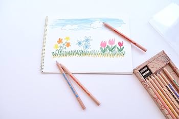 コクヨ 色鉛筆 おえかき色鉛筆 KE-AC8 rdzdsi3 Amazon | コクヨ 色鉛筆 おえかき色鉛筆 KE-AC8 | 色鉛筆