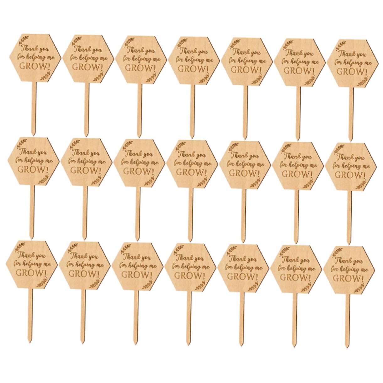 ibasenice 3 Ensembles Étiquette En Bois Étiquettes De La Plante Suspendue Marqueur De Jardin Marqueurs De Plantes De Jardin Étiquettes De Semis Petites Étiquettes De Jardinière 40 Pièces * 3