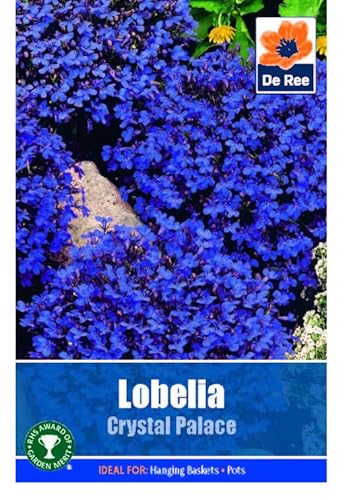 Flower Seeds Lobelia CrystalPalace - 1995 Seeds Packet Plant Bedding Borders Containers Pots Grow Your Own Garden Plant Seed