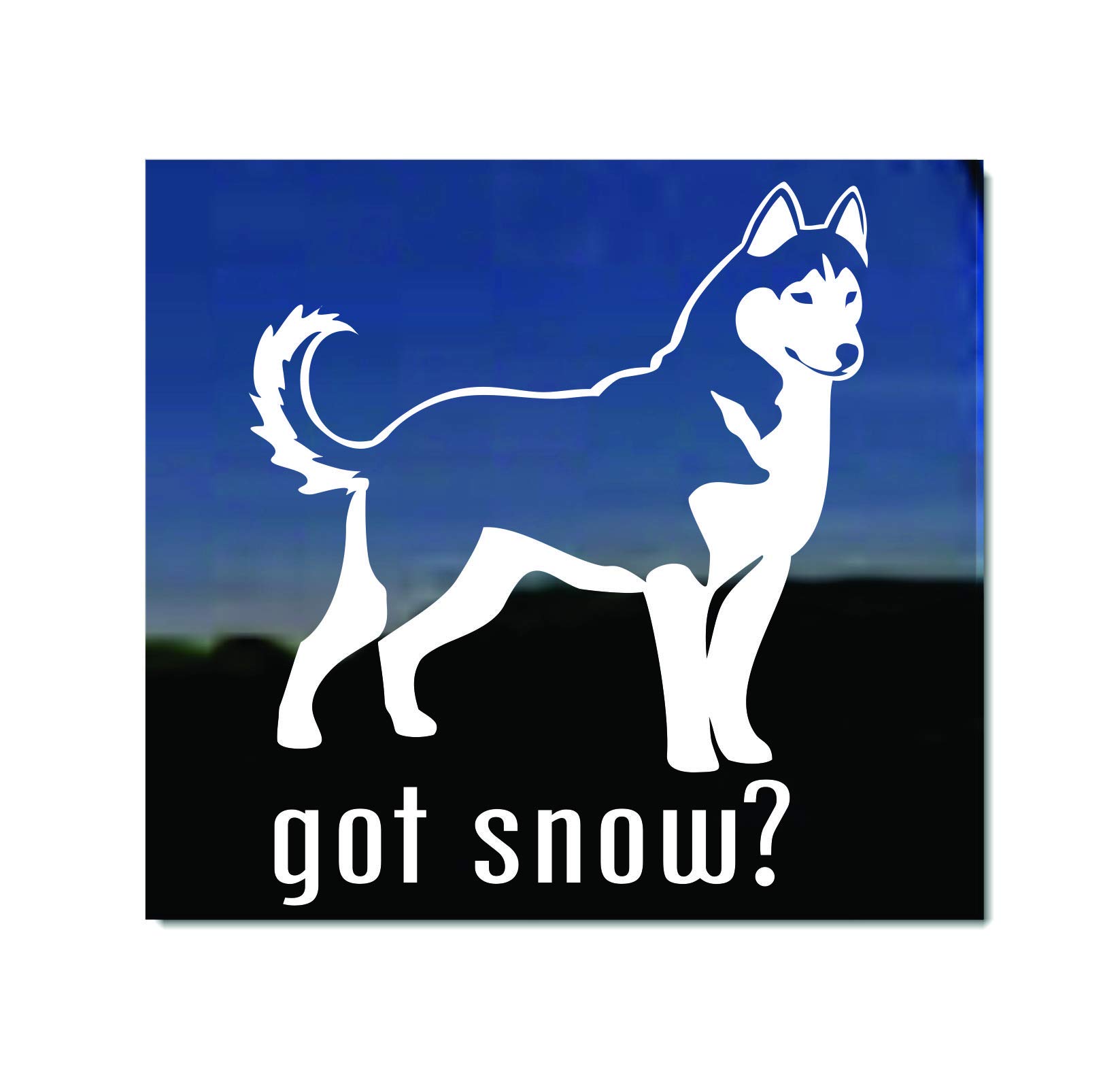 Got Snow? NickerStickers® Siberian Husky Vinyl Window Auto Decal Sticker