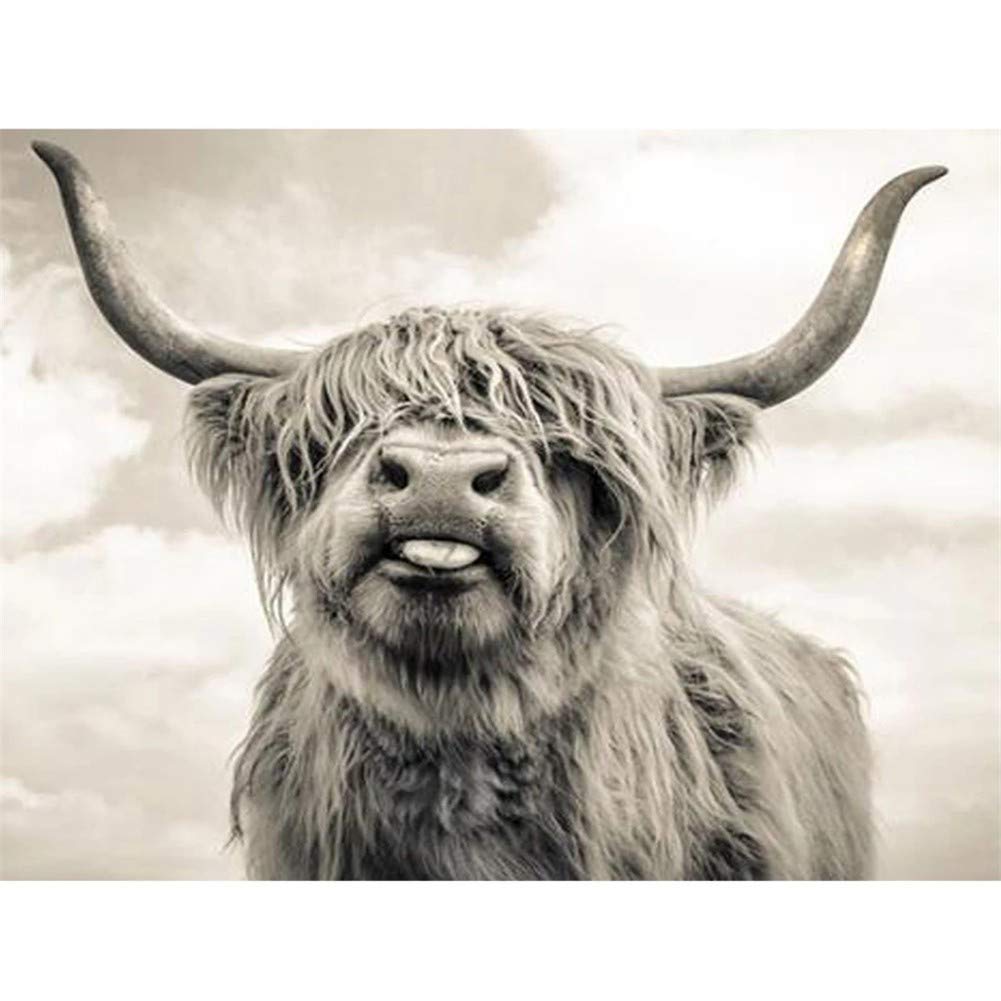 Peinture Diamant Vache Highland Toile 70x90cm Idéale pour Déco Murale Chambre