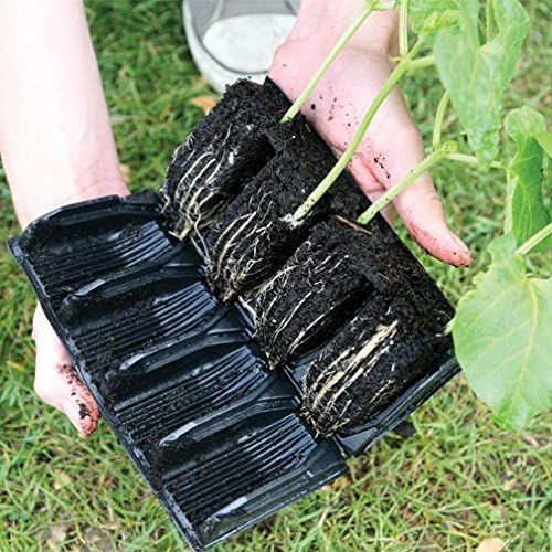 Miniatura 3 de Deep Rootrainers Kit - Kit de propagación de semillas y corte (32 celdas, 5 pulgadas de profundidad)