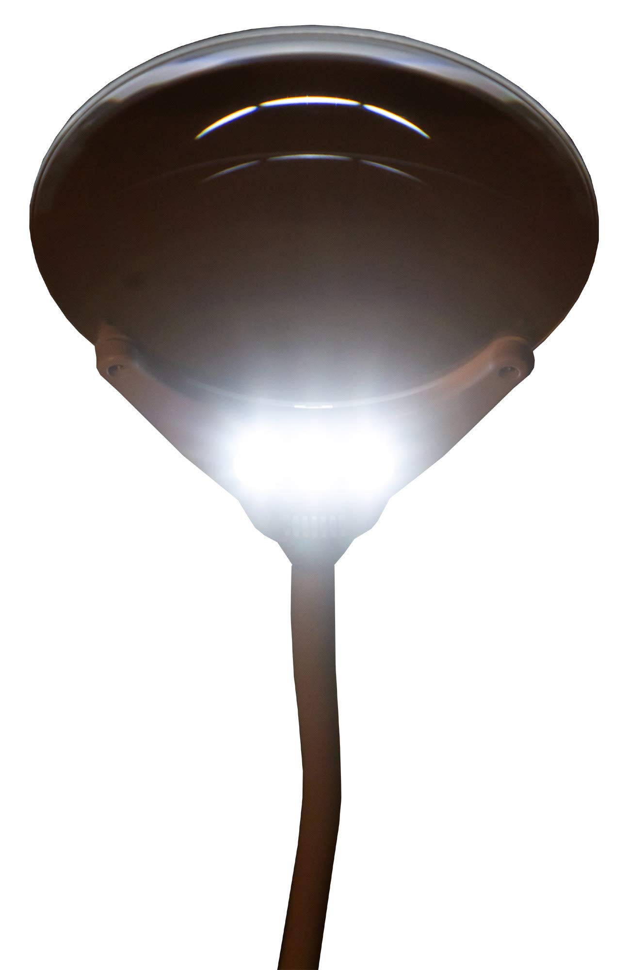 Lupa de Sobremesa Levenhuk Zeno Lamp ZL13 con Iluminación por LED, Ampliación de 2X, Cubierta Protectora y Brazo Flexible para Trabajar de Cerca, Color Blanco