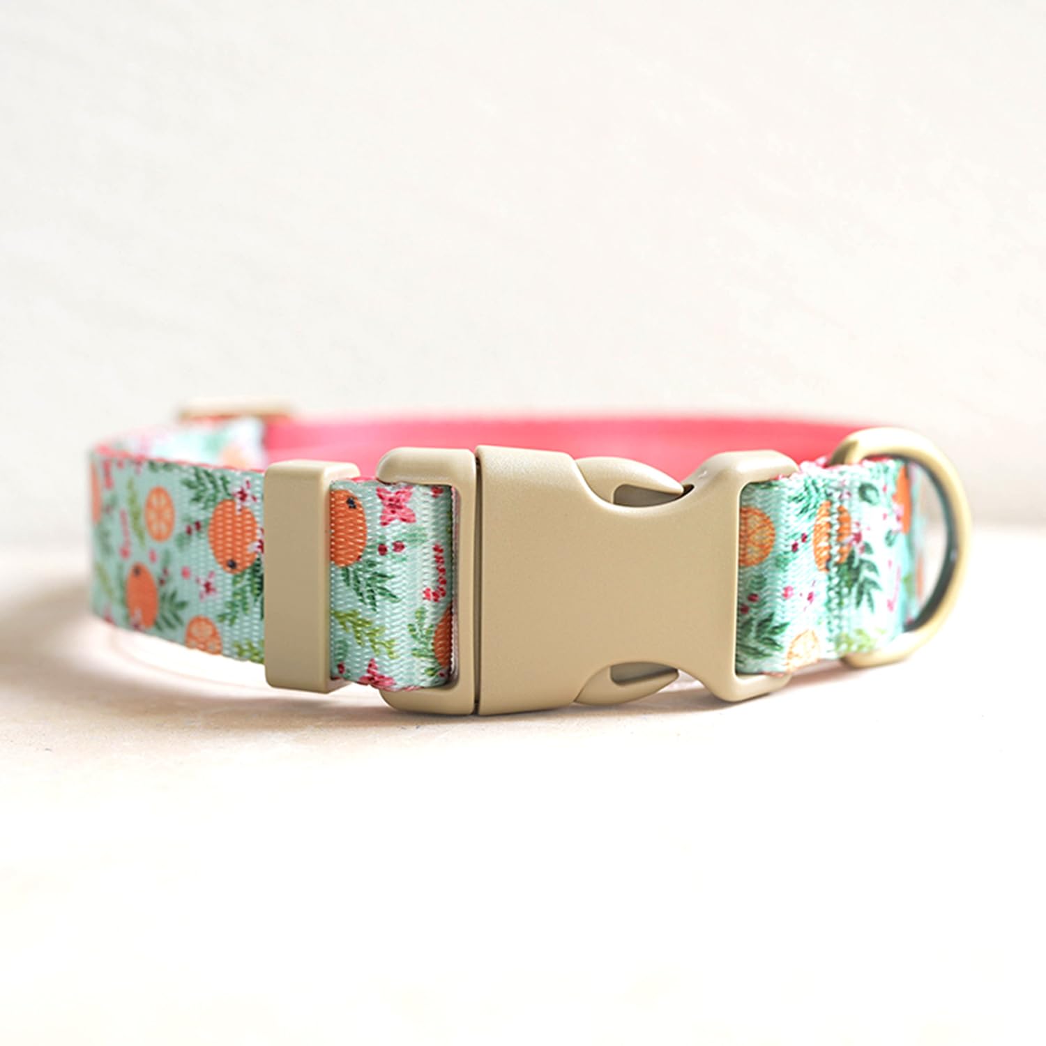 Petiry Vibrant Orange Fruit Print Nylon Dog Collar For Large Dogs Neck 49-55cm,Orange,L, A-GreenOrange