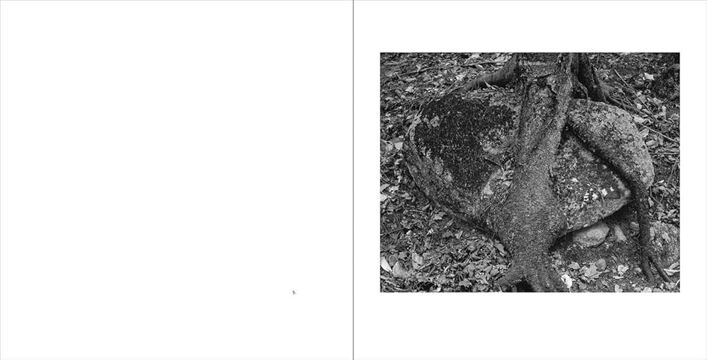 STEPHEN SHORE 写真集 Stephen Shore: Solving Pictures | スティーブン・ショア 写真