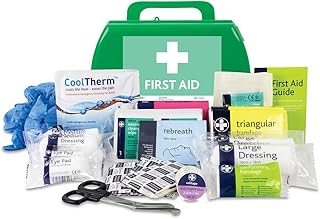Lewis-Plast Small Premium BS8599-1 Compliant (Low Risk High Risk) First Aid Kit - These Kits Reflect the Changes in Both Workplace Practice and Risks - First Aid Kit For Injuries