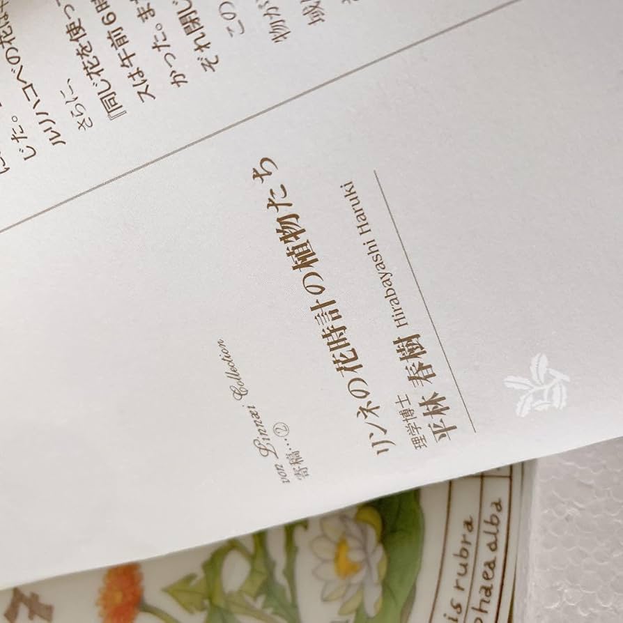 【箱入り　未使用】　ノリタケ  27㎝　皿時計　スタンド付　リンネ　花時計 箱入り 未使用】 ノリタケ 27㎝ 皿時計 スタンド付 リンネ 花