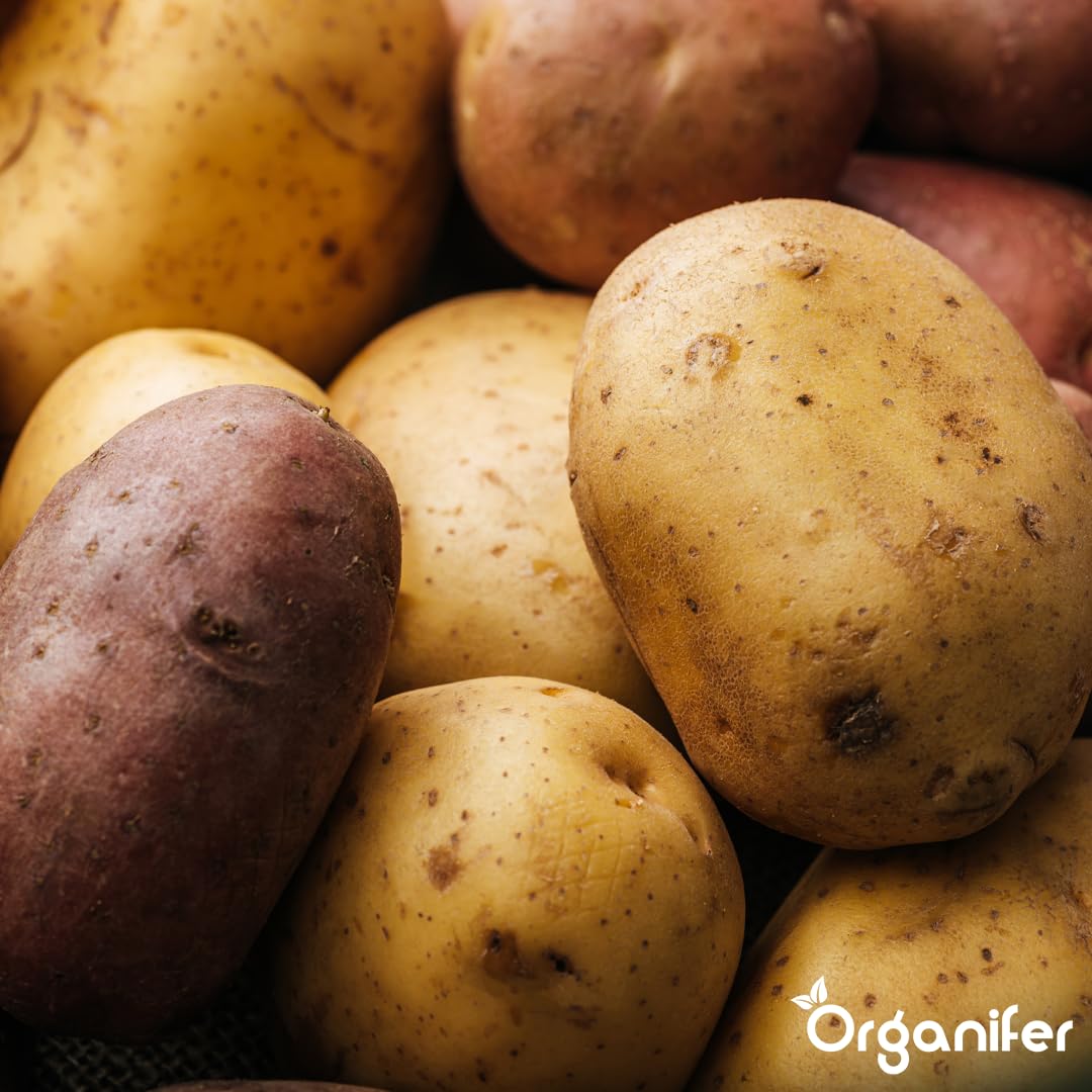 Fertilizante Líquido Para Patata 2L – Abono Orgánico Para Hojas Saludables Y Crecimiento Fuerte – Refuerza Raíces Y Vitalidad – Organifer
