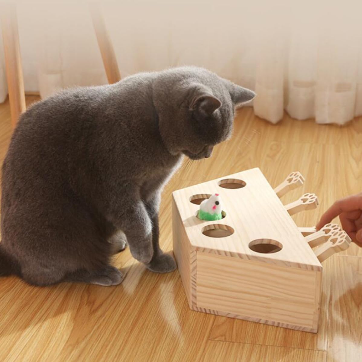 Lustiges Katzenspielzeug mit Fünf Löchern Verbessert Interaktivität und Leicht zu Verstauen für Spielerisches Kätzchen Jagdspiel zu Hause