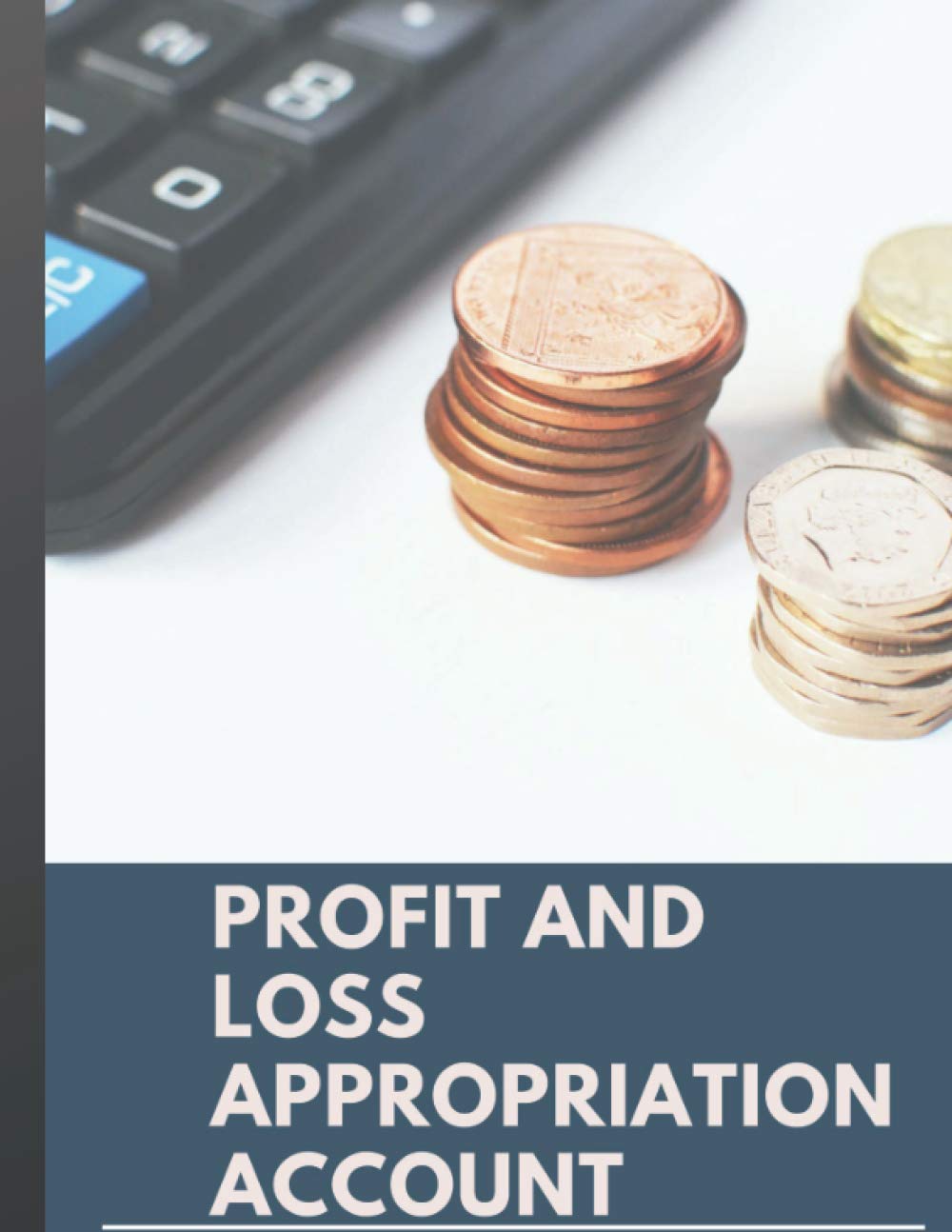 Accounts Book: Cash BookKeeping Journal For Business- Profit And Loss Appropriation Account: Large Print