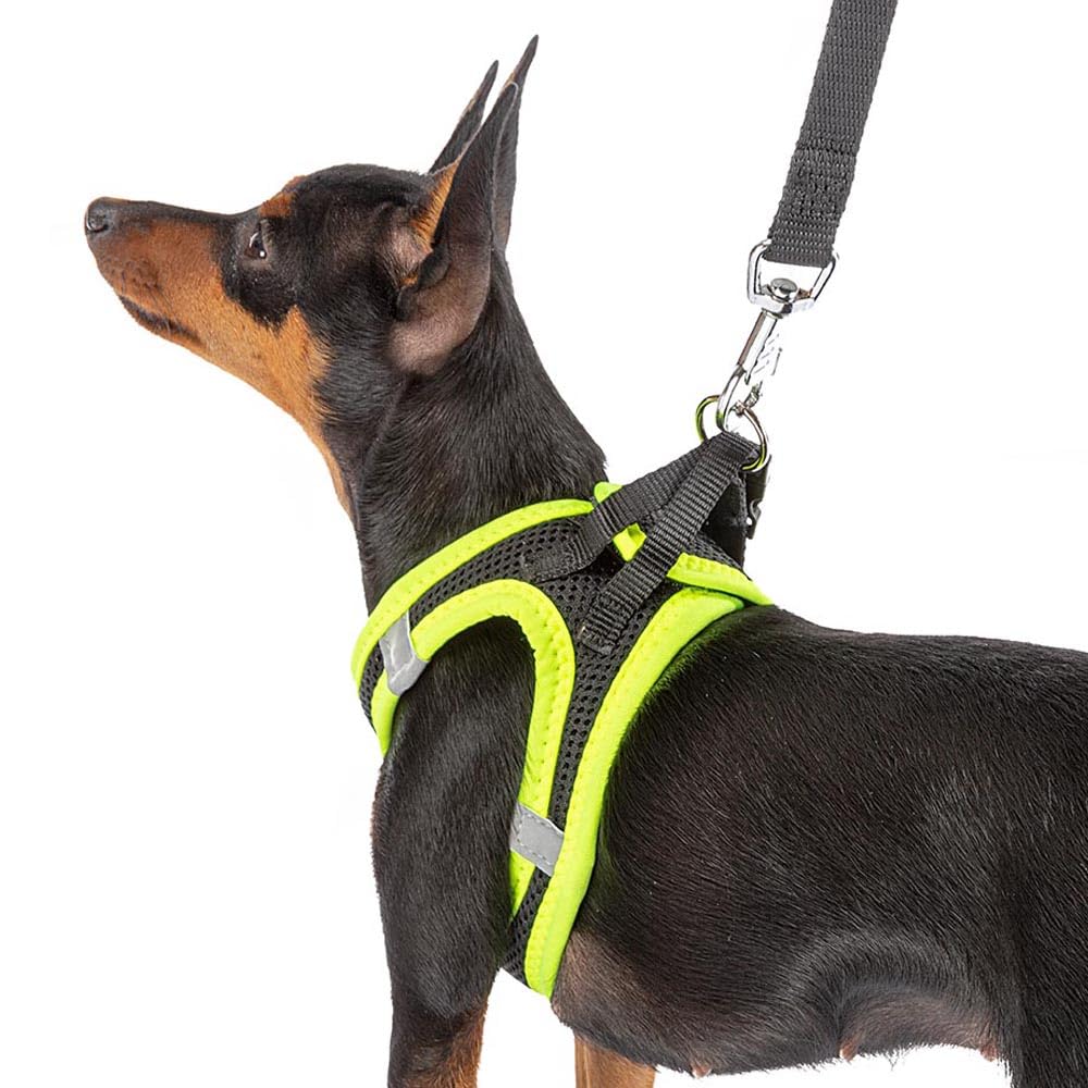 Ferplast Small Dog Harness KAORI XS, Breathable, Padded and Adjustable Cat Harness, Easy to Wear, Reflective Edges - Image 3