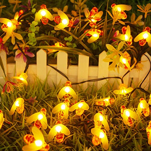 Litogo Luci Solari Esterno Ape,【2 Pacchi 】 10M 60