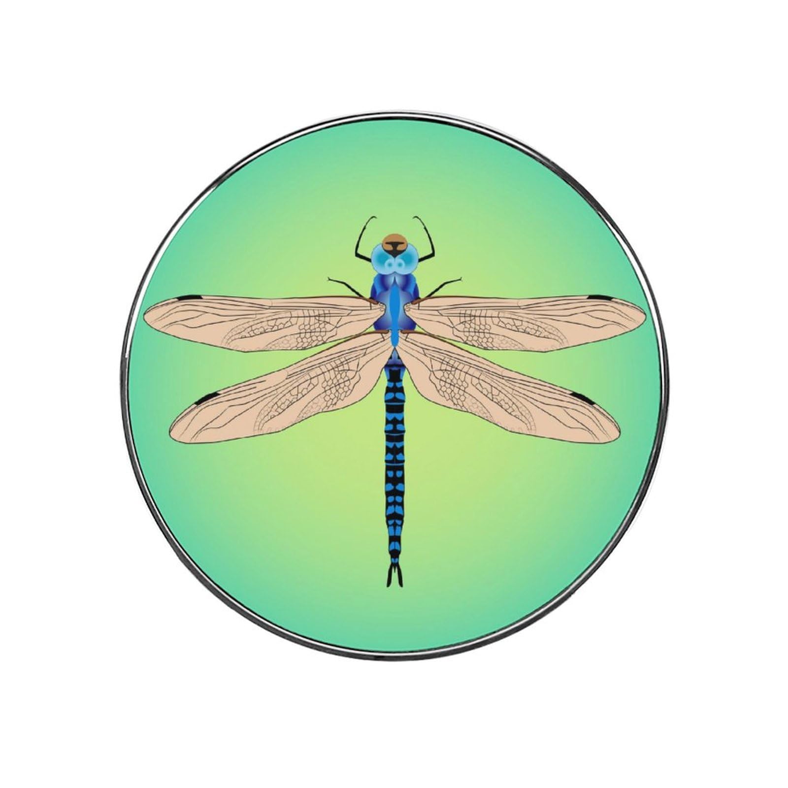 Dragonfly Magnets For Fridge Kitchen Decoration For Refrigerators Whiteboards