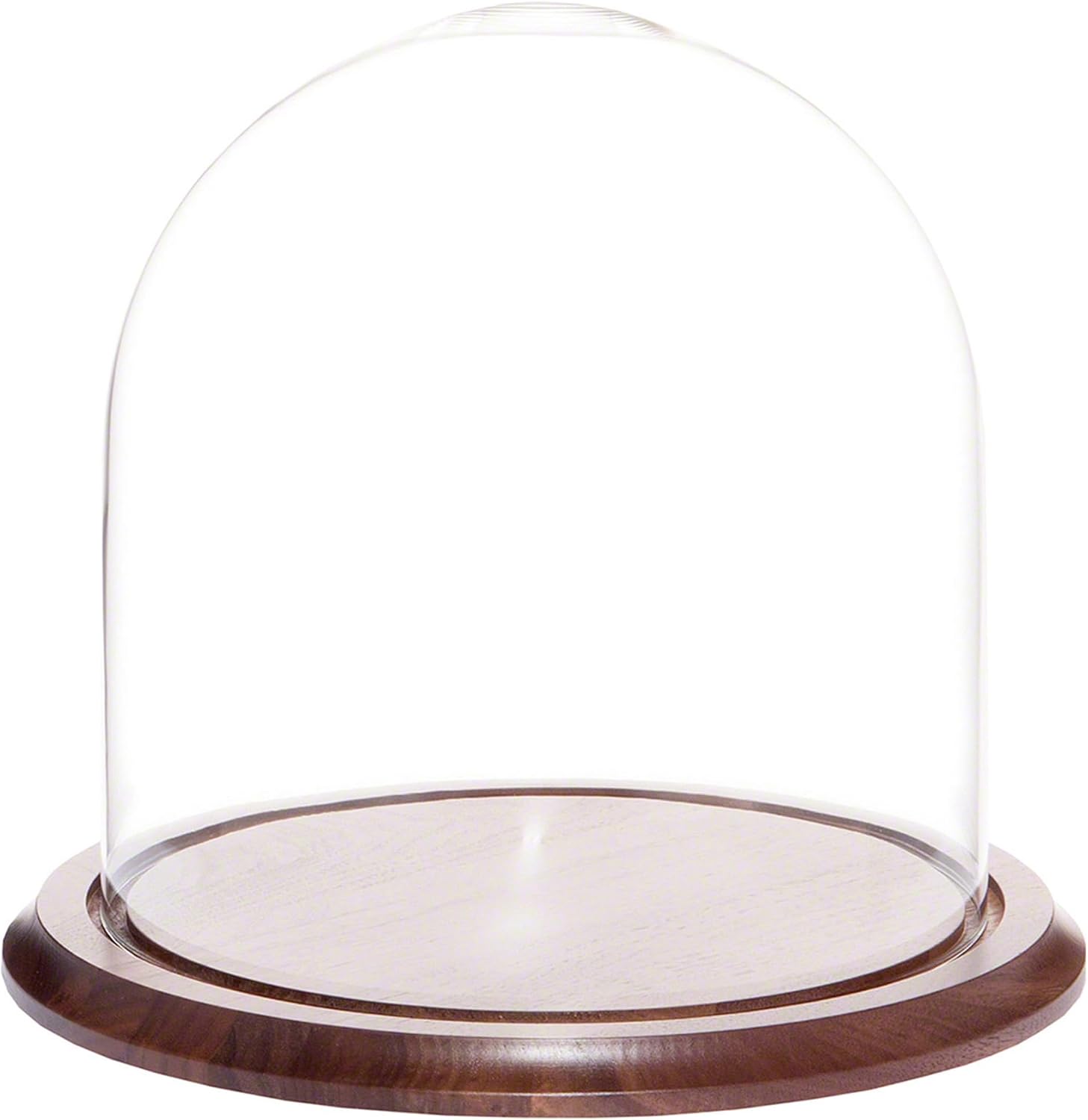 Plymor 9.75" x 10" Glass Display Dome Cloche (Walnut Veneer Base)