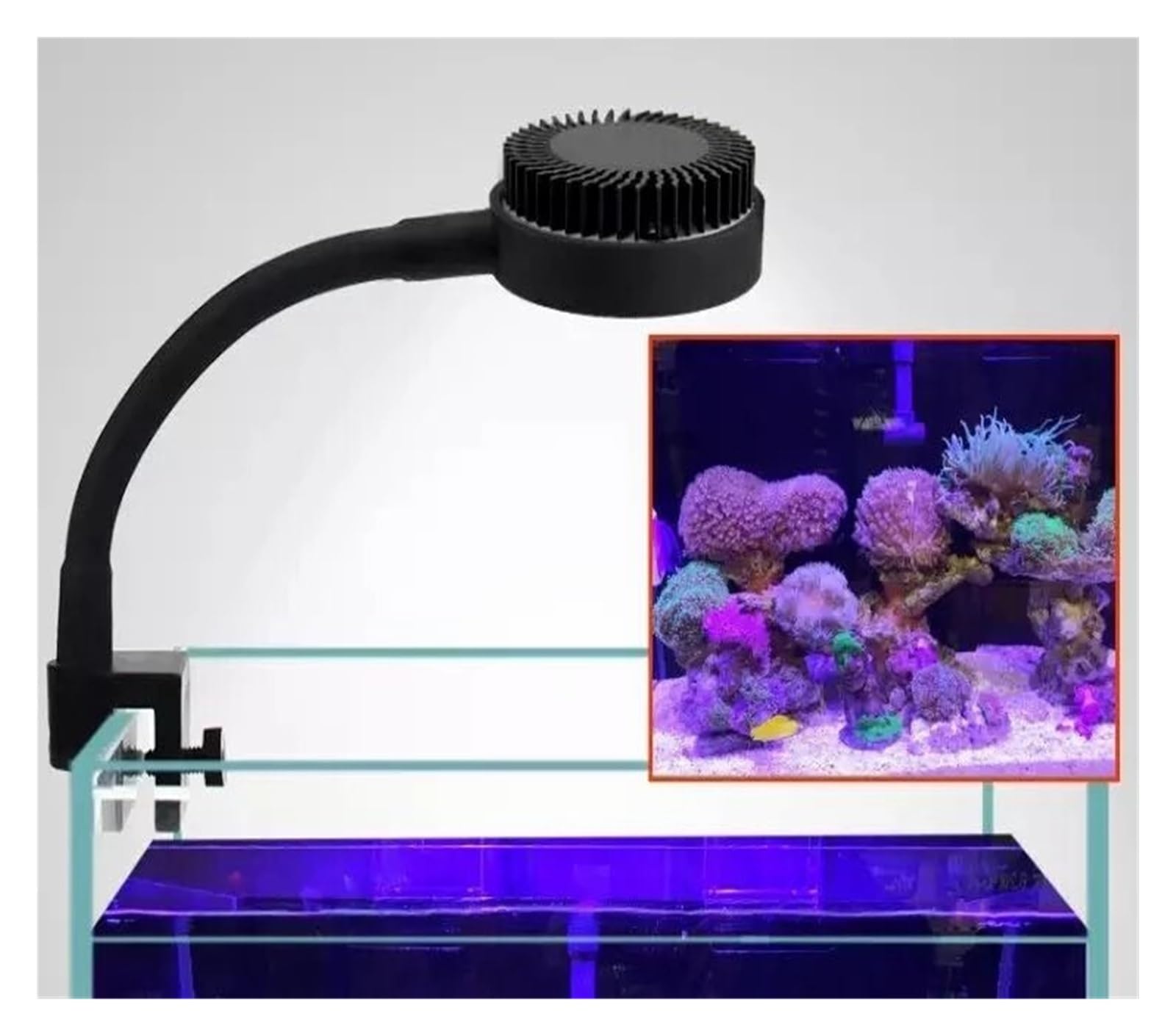 Spettro completo Nano Piccolo acquario Barriera corallina marina LED e luce for piante for acquari marini Luce for per acquario di pesci