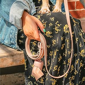 Wild One Dog Poop Bag Holder and Dispenser with Leash Attachment, Leak Proof, Easy Twist Top for Refills, Includes 1 Roll Poop Bags, Blush