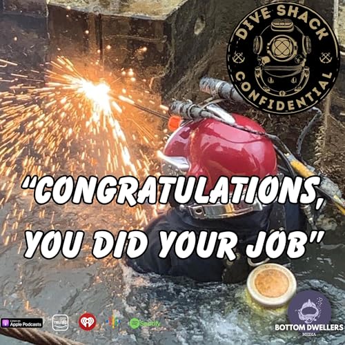 Page de couverture de Congratulations, You Did Your Job