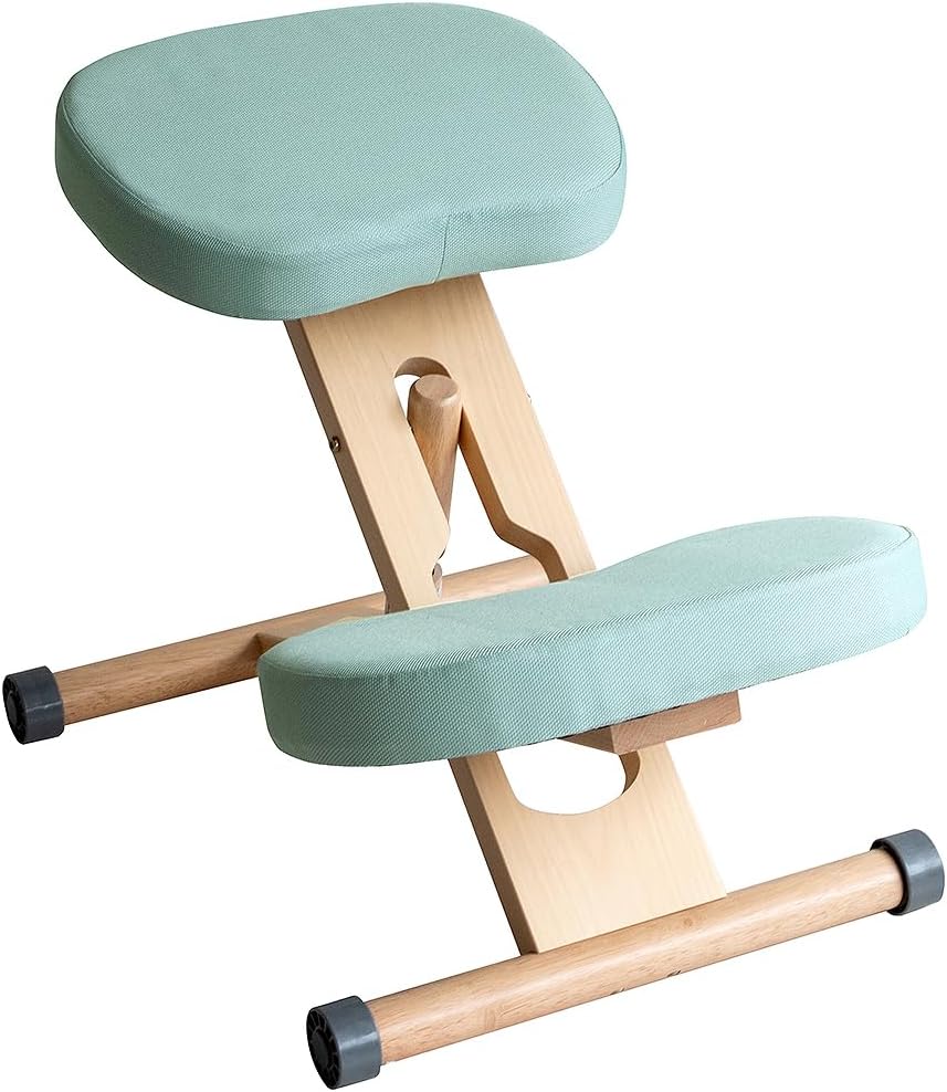 エルゴヒューマン エンジョイ enjoy エルゴヒューマン エンジョイ EJ