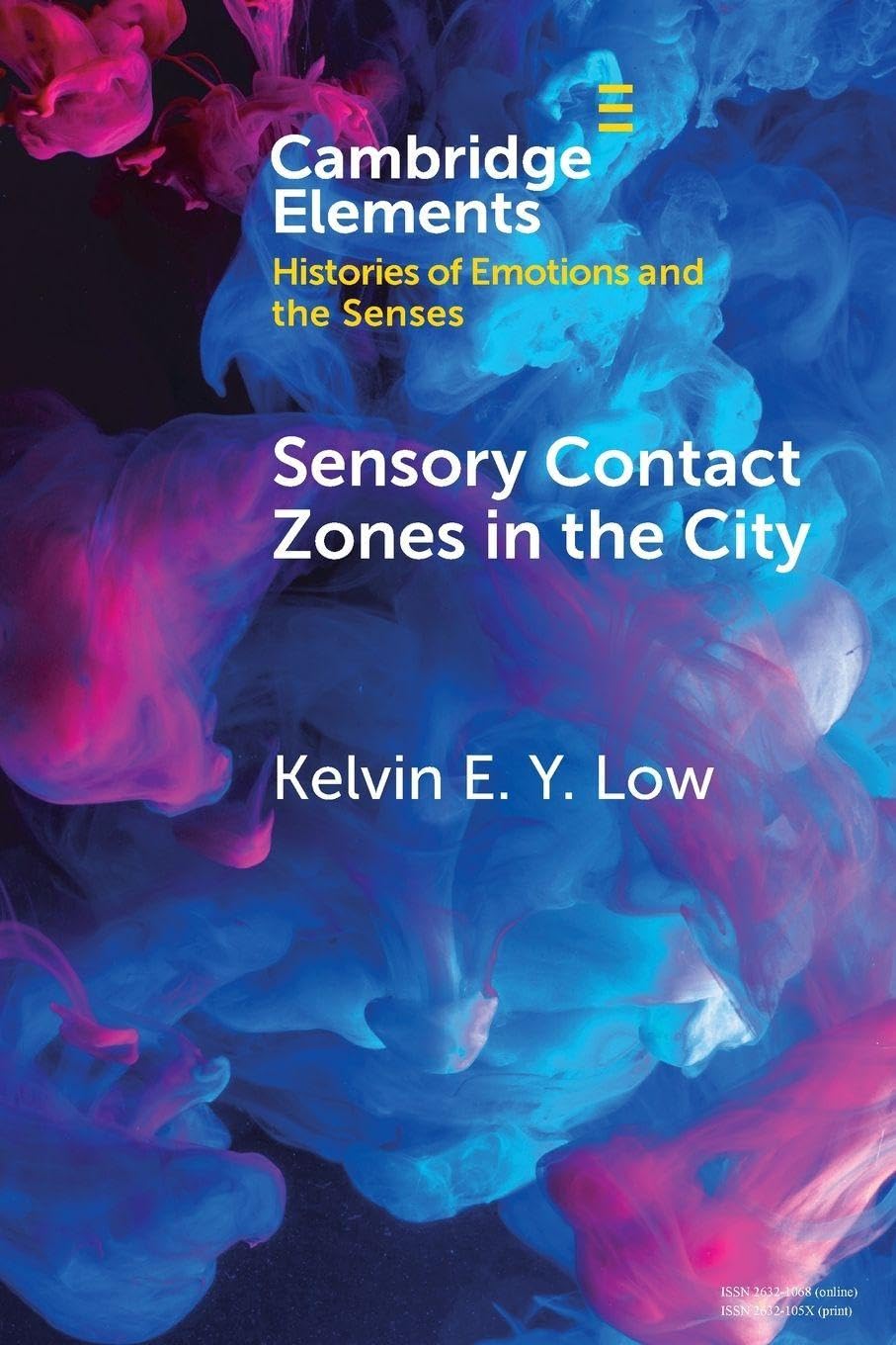 Sensory Contact Zones in the City (Elements in Histories of Emotions and the Senses)