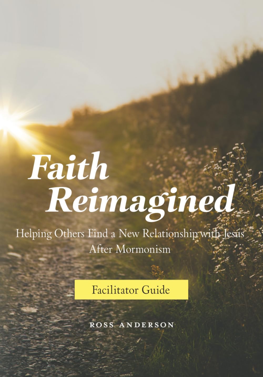 Faith Reimagined (Facilitator Guide): Helping Others Find a New Relationship with Jesus After Mormonism