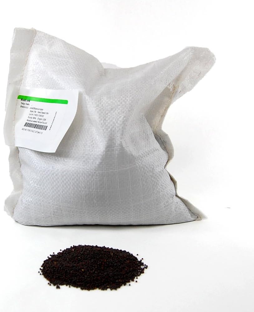 Tokyo Bekana Mustard Seeds: 5 Lb - Bulk, Non-GMO Seeds for Vegetable & Herb Gardening, Growing Microgreens