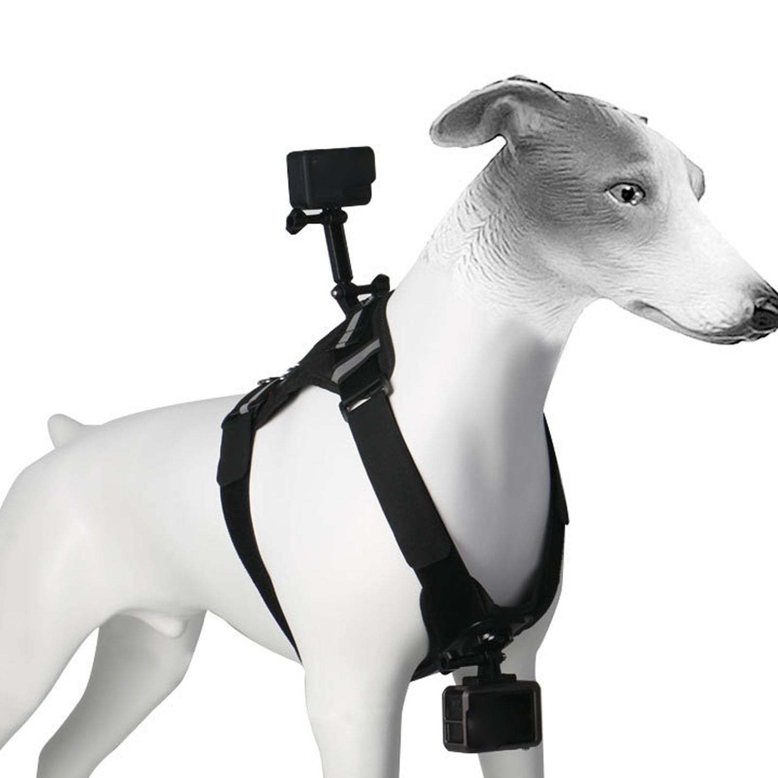 Dog Harness Mount for Go pro, Adjustable Dog Harness Vest, Chest and Back Fixation Pet Harness Camera Mount Vest, for Action Cameras
