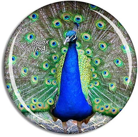 USA America Bronx Zoo Peacock Fridge Magnet Travel Souvenir City Collection 3D Crystal Glass Gift Strong Refrigerator Sticker image 5