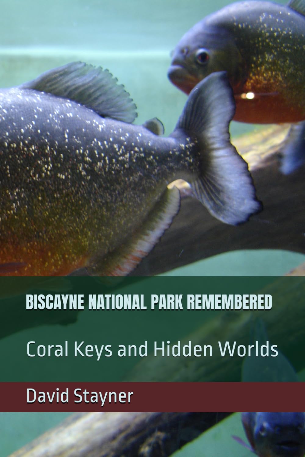 BISCAYNE NATIONAL PARK REMEMBERED: Coral Keys and Hidden Worlds