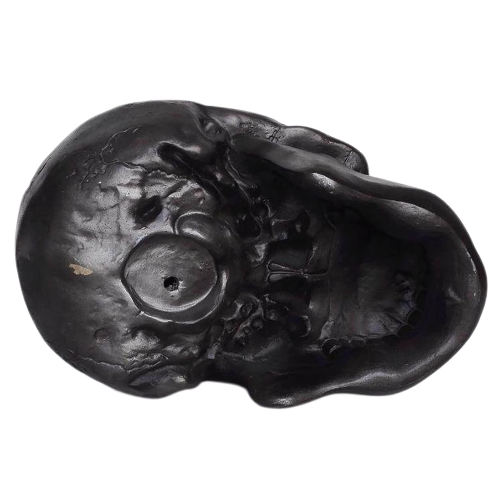 Resin Affenschädel Modell Schimpansenschädel Skelettexemplar Für Fotografie Requisiten Lehrmittel,Schwarz,20cm