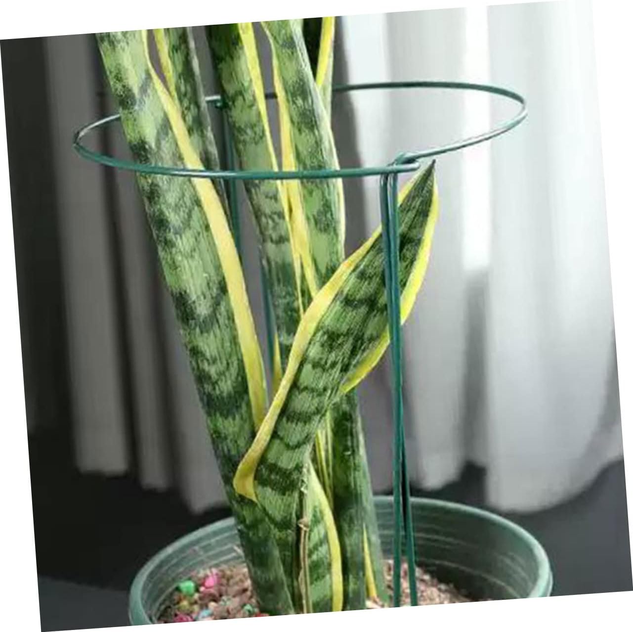 Plant Rack 8pcs Metal Plant Stakes Support Ring for Climbing Plant Support Sturdy and Odorless Suitable for Bushy Plants Gardening