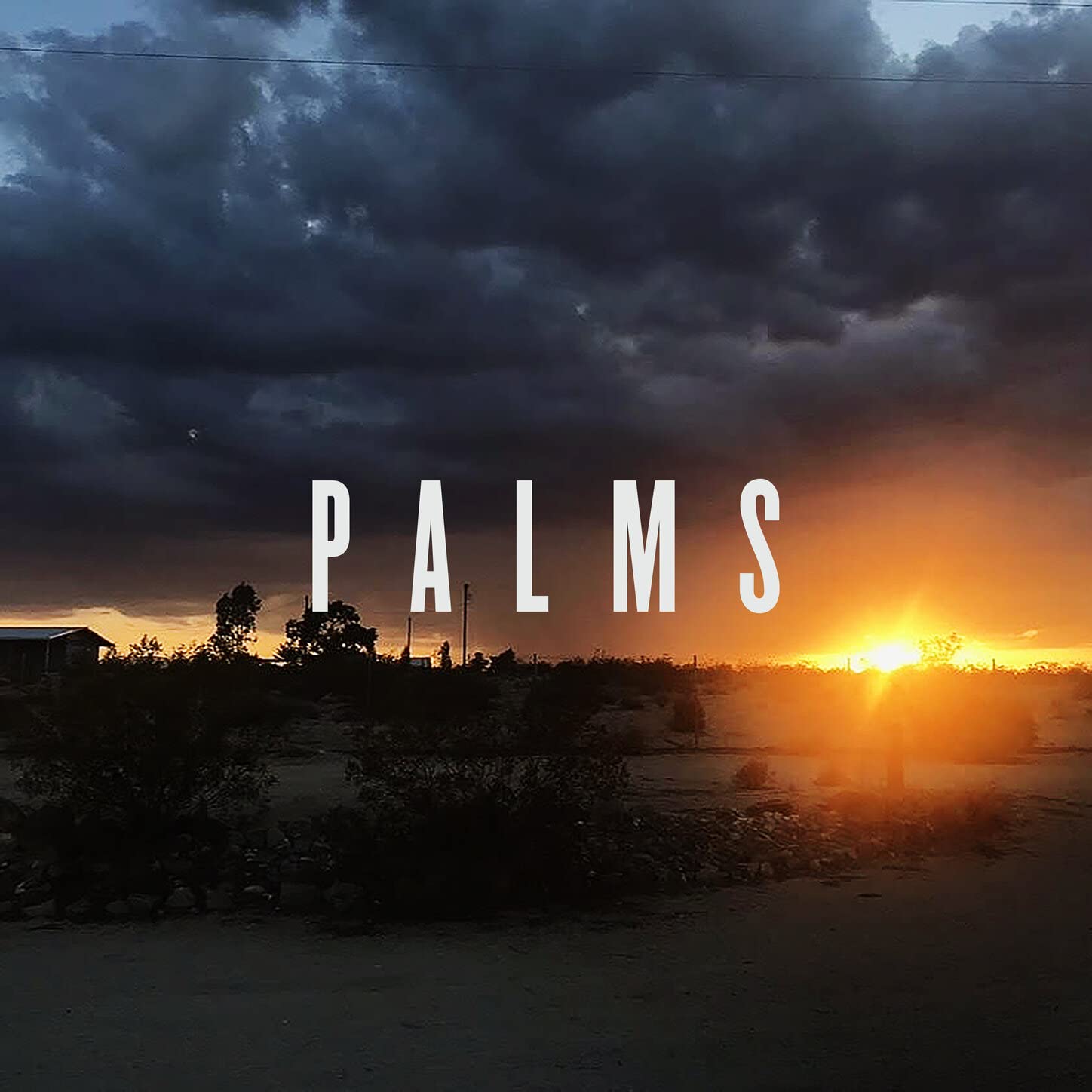 Palms