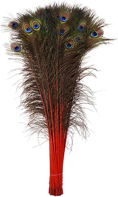 ZUCKER Feathers - Peacock Tail Eyes Stem Dyed - 25-40" - in Your Choice of Colors