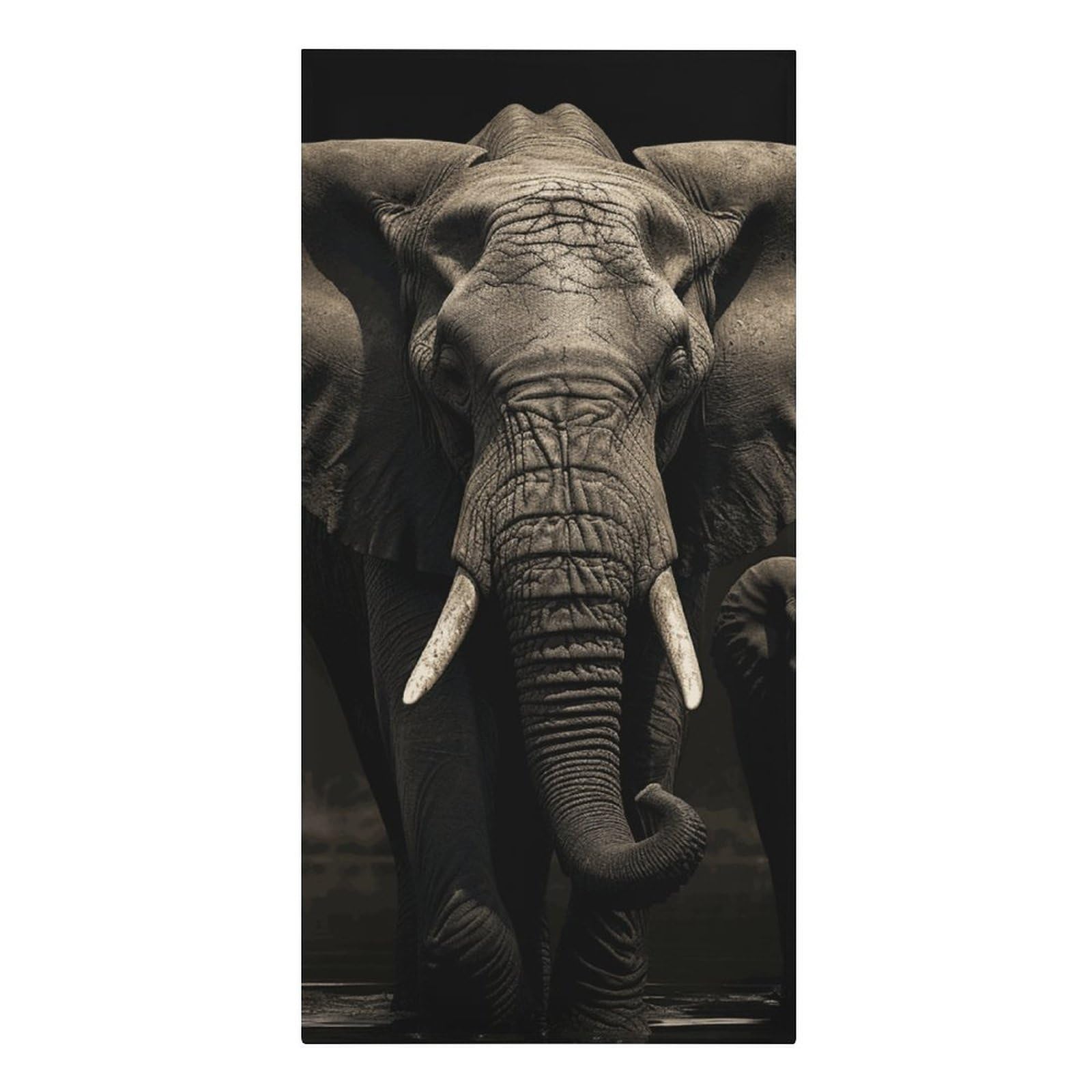 QMNLKH Elephant Black Beach Towel for Women, Large Microfiber Pool Towel for Men, Absorbent Swim Towels for Home, Lightweight Bath Towels for Camping, Yoga, 30.3"x61.4"