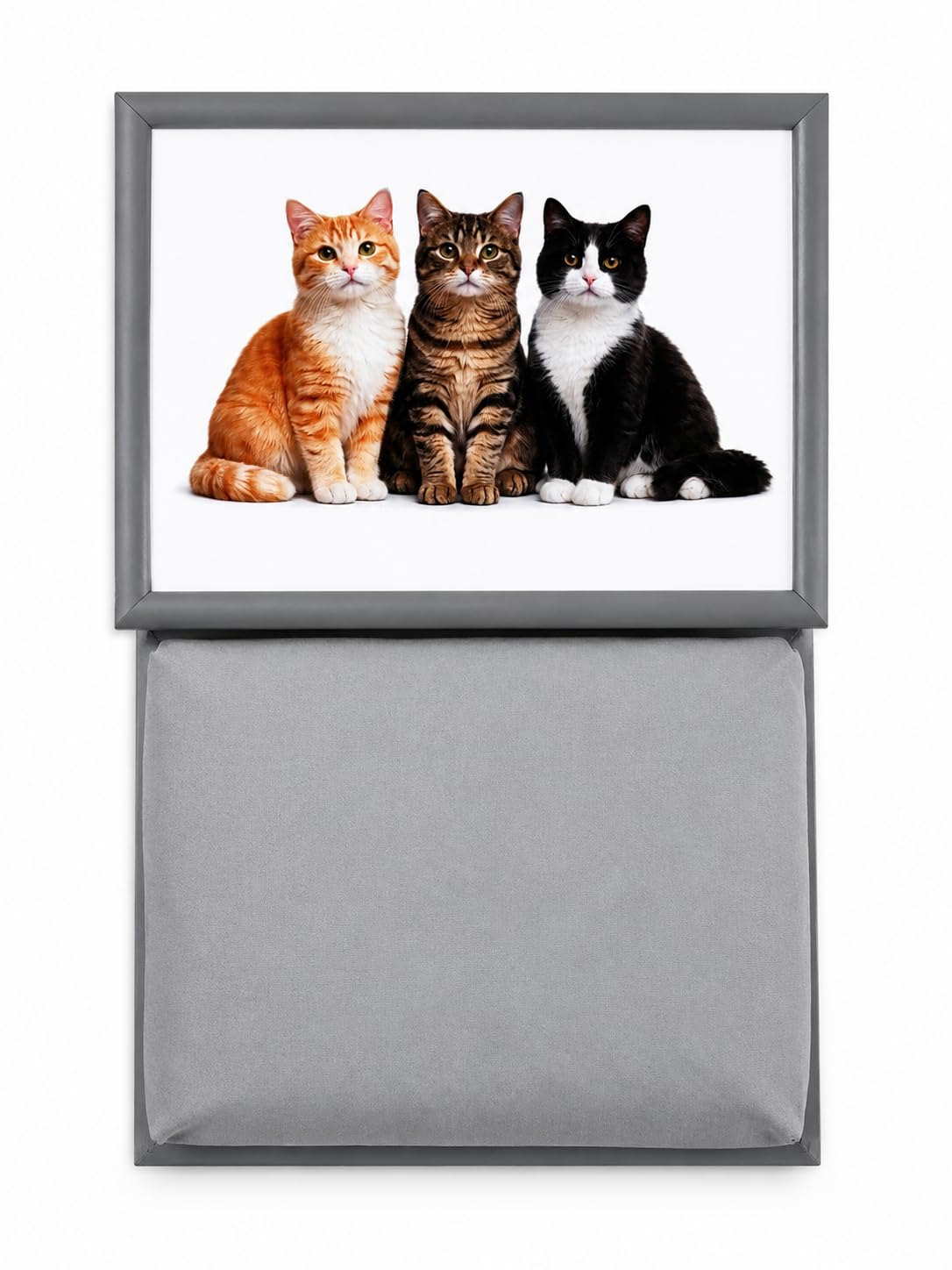Tamersgifts Cushioned Laptrays Lap Tray TV Dinner Bean Bag Padded Cushion Gift (Cat Laptray)