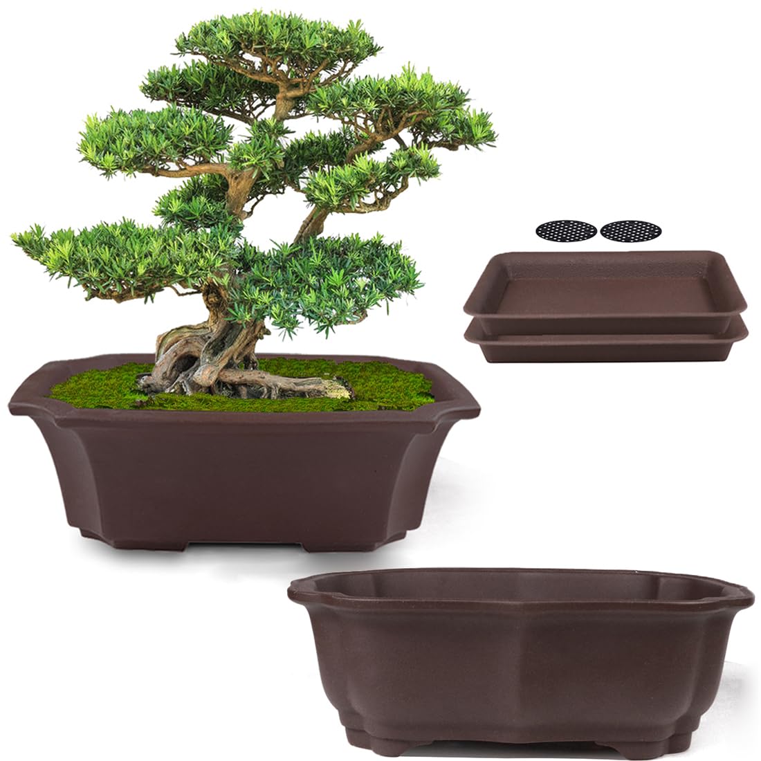MUZHI 2 Pack 8" Unglazed Ceramic Bonsai Tree Pot Training Planter with Drainage Wiring Ho…