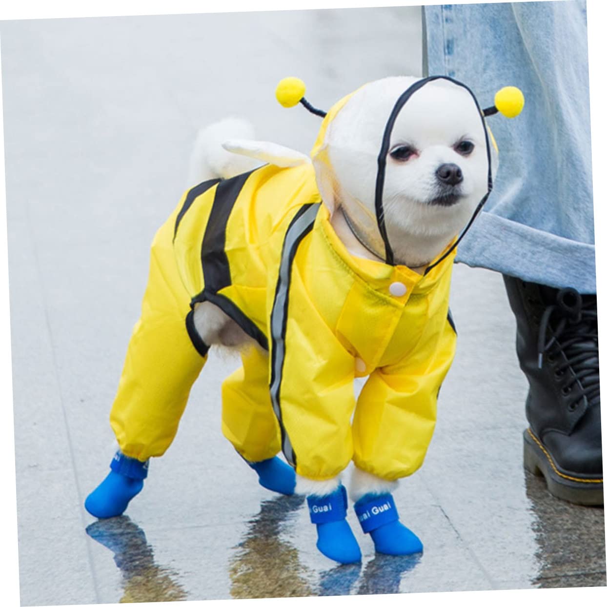 FRCOLOR 3stücke Hunderegenmantel Bienenform wasserdichte Regenponcho Für Kleine Und Mittelgroße Hunde Schützendes Hundezubehör Für Nasses Wetter Super Haltbar Und Stylisch