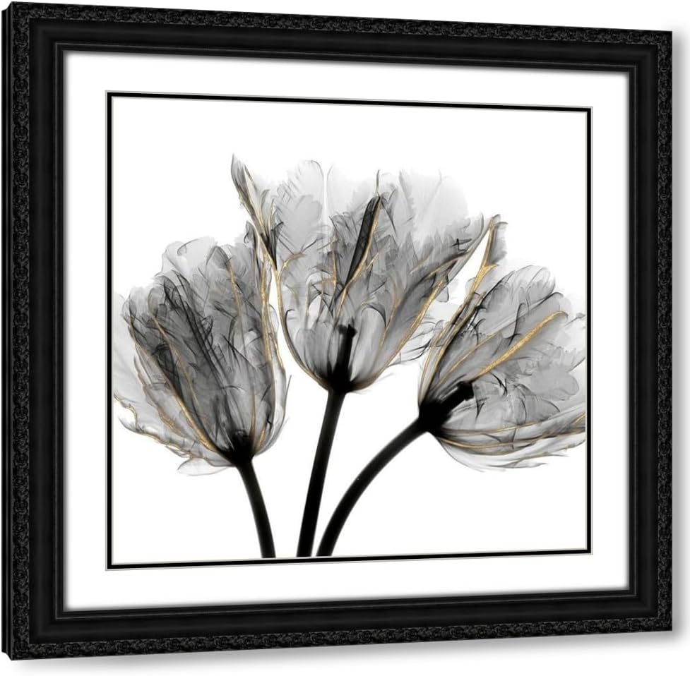 Koetsier, Albert 15x15 Black Ornate Framed and Double Matted Museum Art Print Titled Gold Embellished Tulips 3