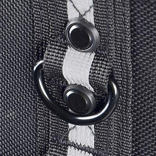 Goldfire Pet Carrier Portable Weather Resistant Motorcycle Dog/Cat Carrier Crate for Luggage Rack or Passenger Seat with Sissy Bar Straps (Black)