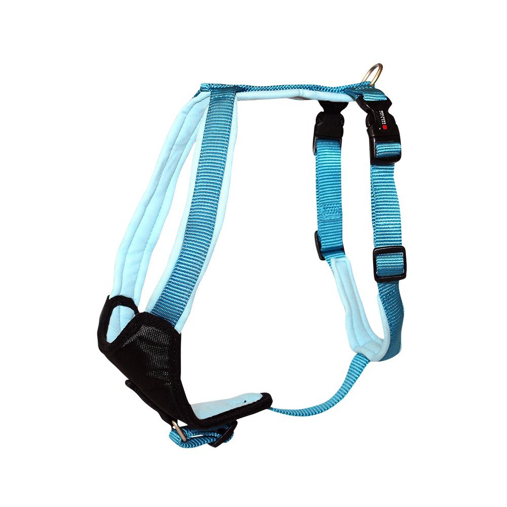 wolters | Vajilla Professional Comfort en Aqua/azur | Busto 80 – 95 cm