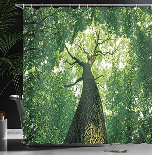 ABAKUHAUS Forest Shower Curtain, Tall Old Tree View Sun Rays Top Branches Leaves Nature Picture - Image 3