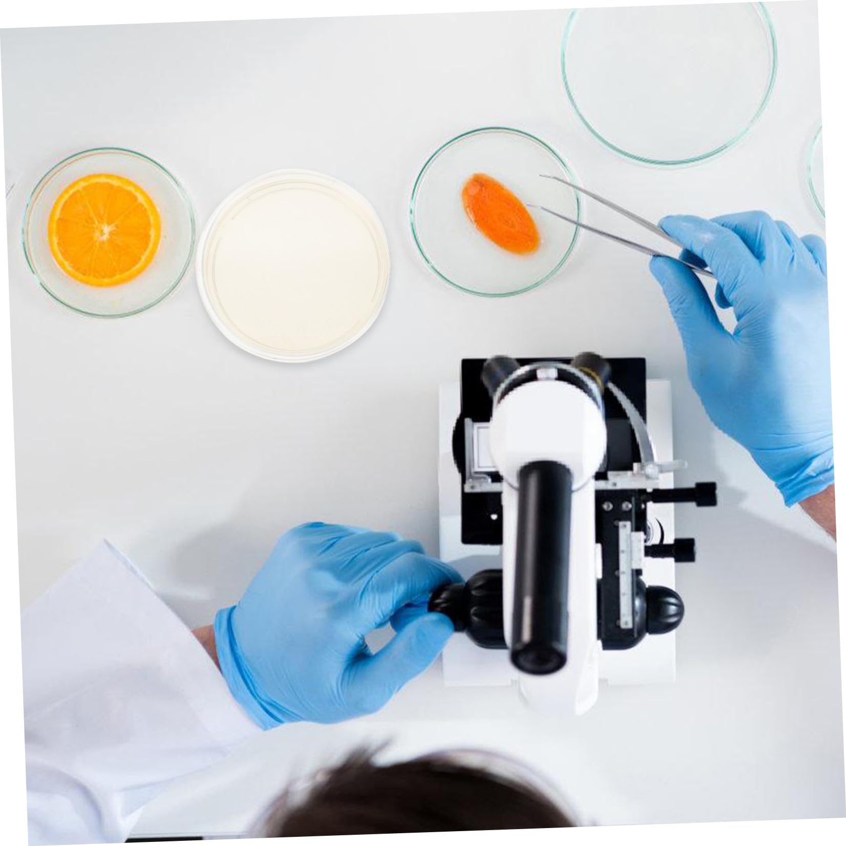 Placas de Petri Agar Nutritivo Prevertido 9 Cm Transparentes para Laboratorio Científico, 20 Unidades Esterilizadas para Cultivo Microbiano y Almacenamiento de Muestras