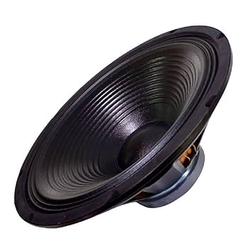 変なウーファー(研究？用 Amazon | Technical Pro wf18 18 Rawサブウーハーブラック
