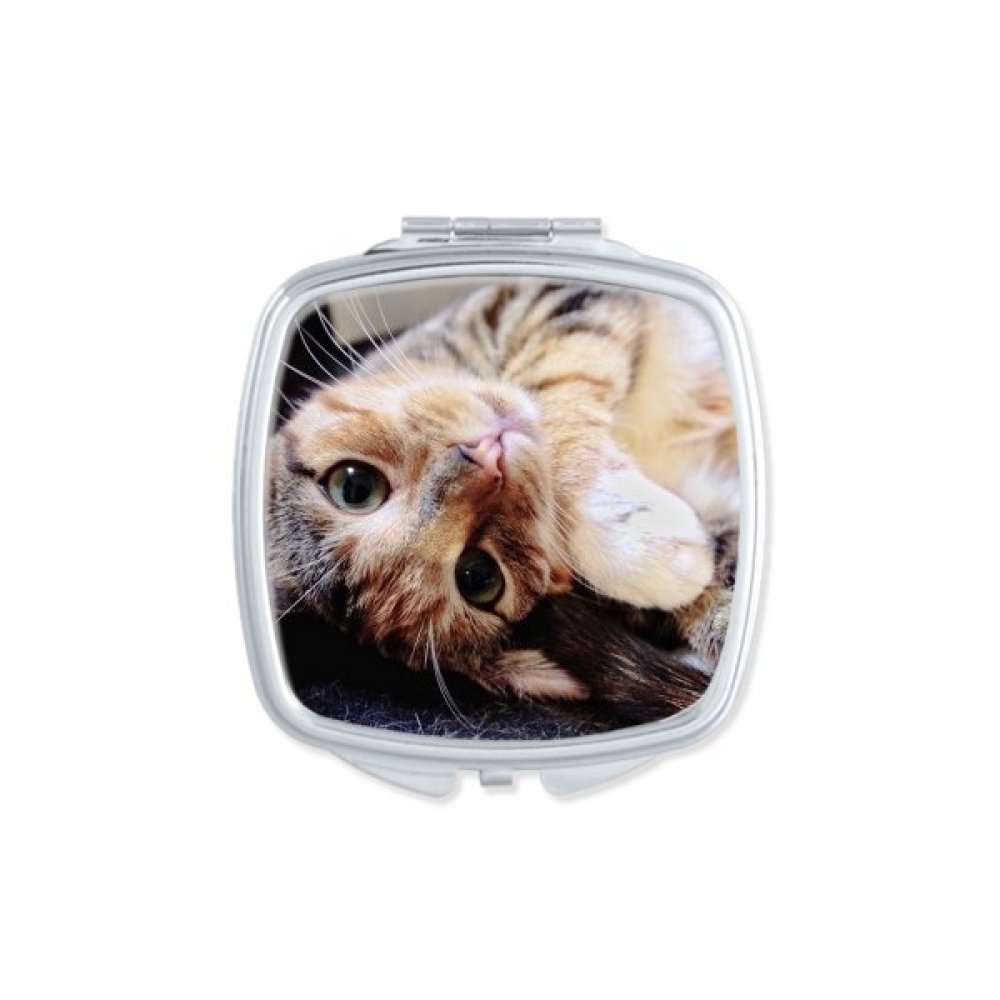 Miroir de maquillage carré compact au motif de chat rayé mignon