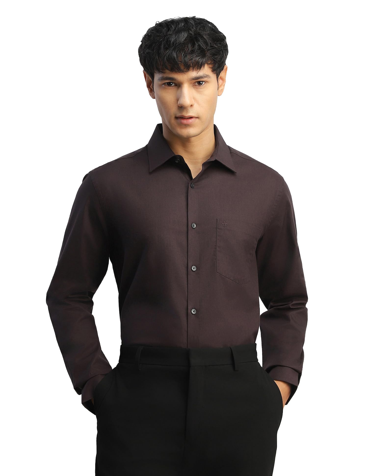 arrow Men's Dobby Liberty Classic Regular Fit Shirt-picture-14