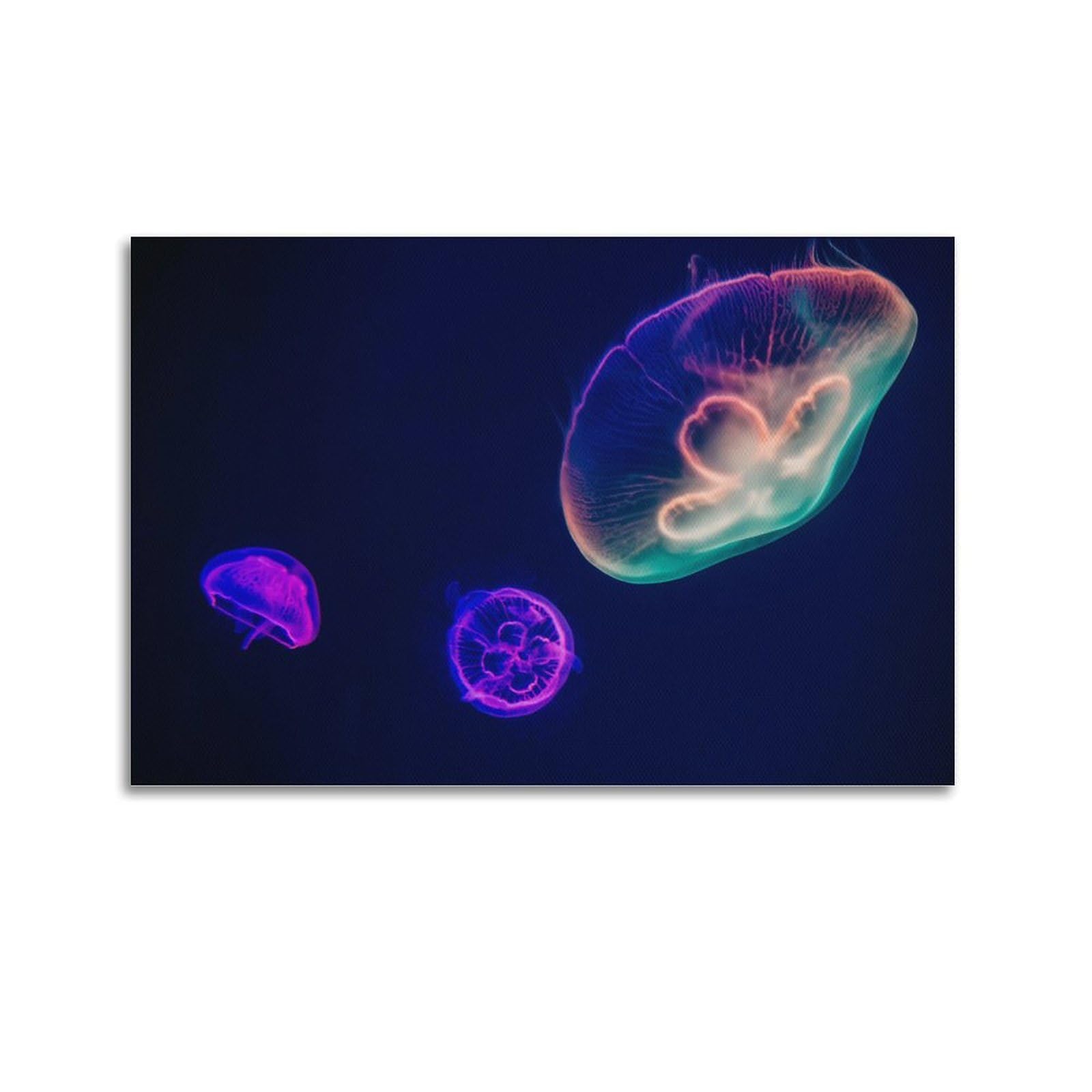 CXHJCA Sea Life Poster Gorgeous Jellyfish Poster Decorative Painting Canvas Wall Posters And Art Picture Print Modern Family Bedroom Decor Posters 24x36inch(60x90cm)